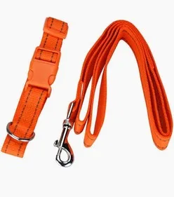Correas y collares — pieza